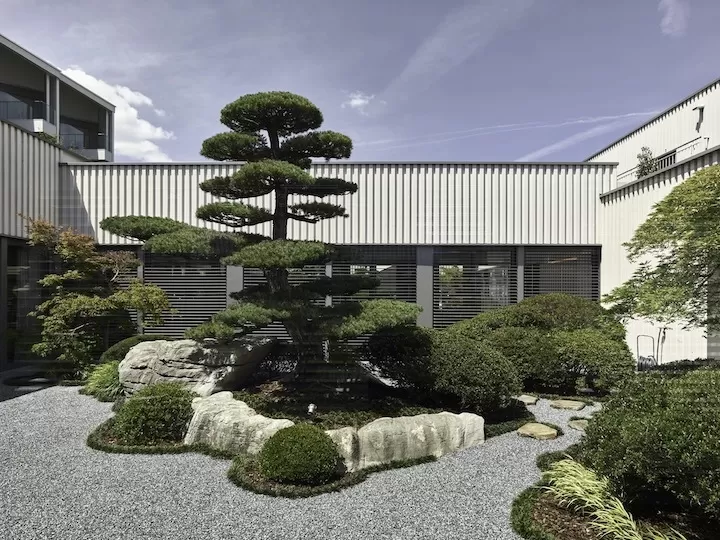 Bất cứ nơi đâu cũng có thể là vườn